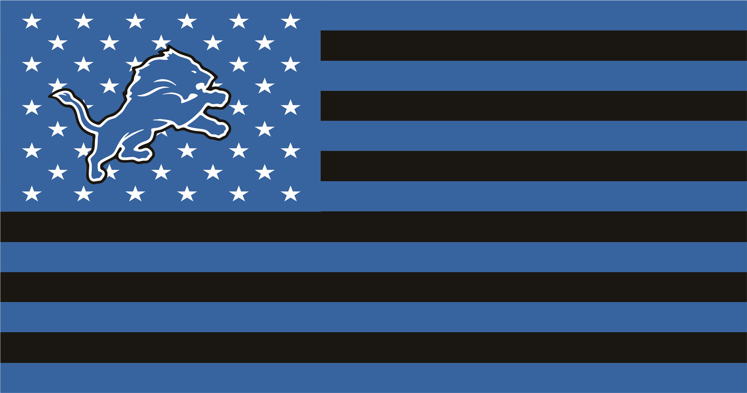 Detroit Lions Flags DIY iron on transfer (heat transfer)